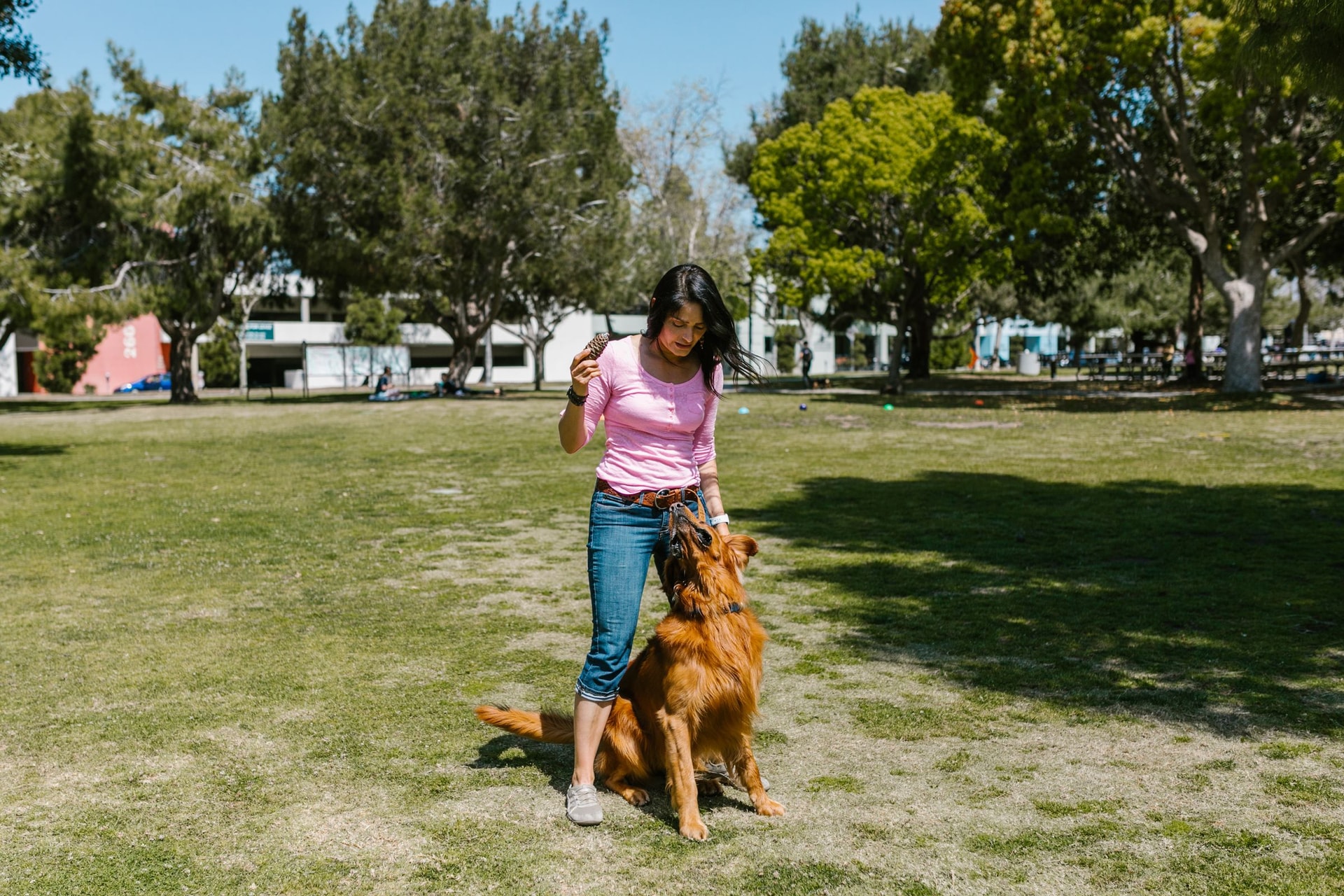 Une propriétaire joue avec son chien dans un parc ensoleillé
