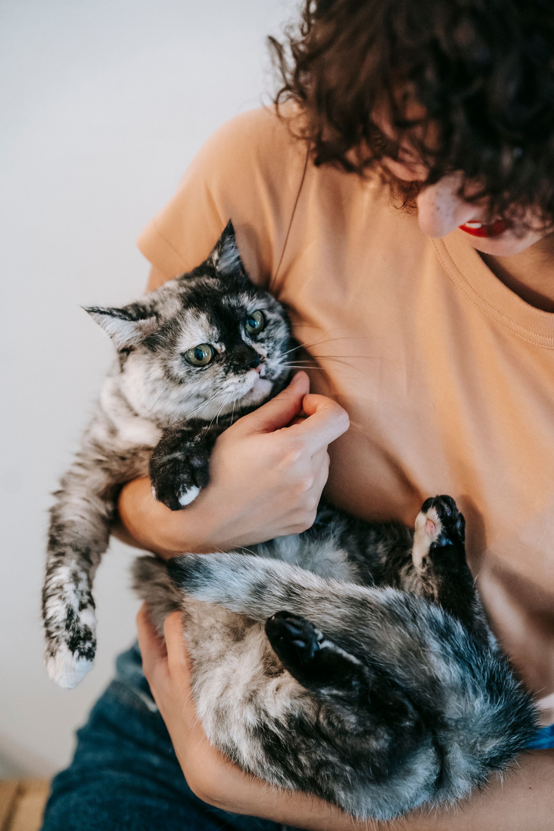 Une propriétaire câline son chat blotti dans ses bras