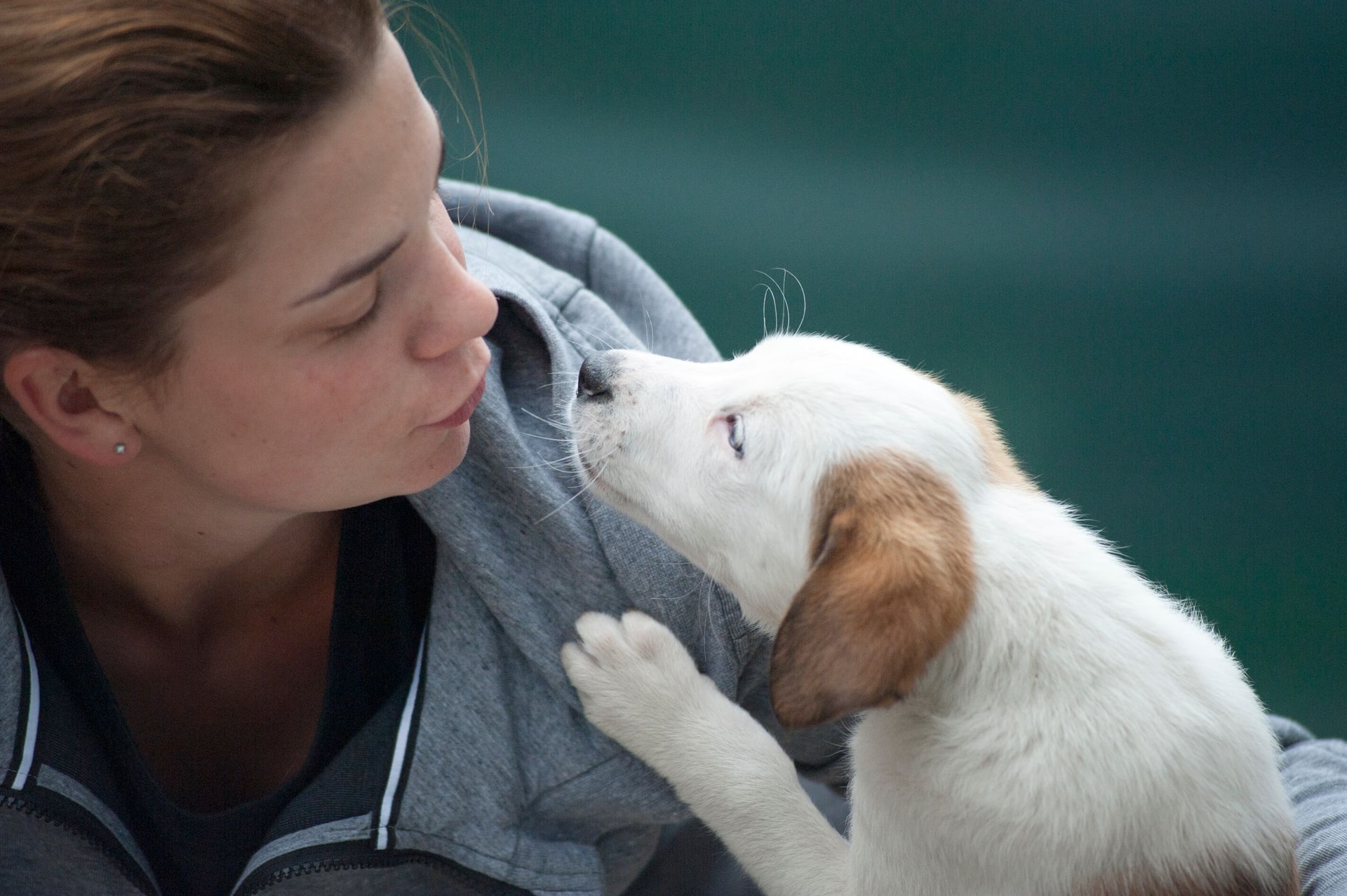 Un chiot et sa propriétaire se regardent tendrement