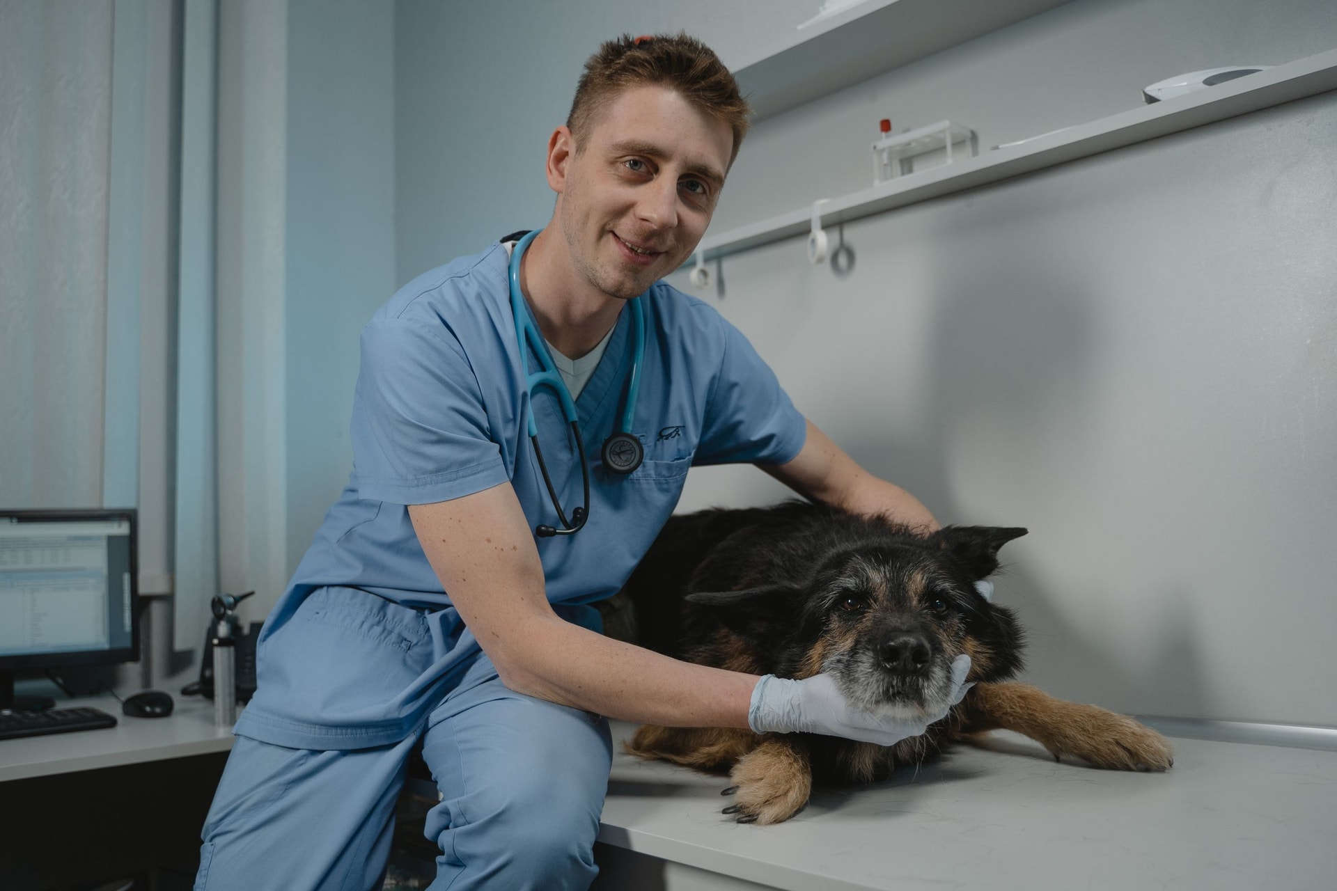Un vétérinaire en tenue bleue prend soin d'un chien dans sa clinique